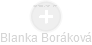 Blanka Boráková - Vizualizace  propojení osoby a firem v obchodním rejstříku