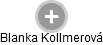 Blanka Kollmerová - Vizualizace  propojení osoby a firem v obchodním rejstříku
