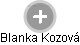 Blanka Kozová - Vizualizace  propojení osoby a firem v obchodním rejstříku