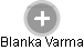 Blanka Varma - Vizualizace  propojení osoby a firem v obchodním rejstříku