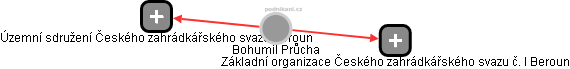  Bohumil P. - Vizualizace  propojení osoby a firem v obchodním rejstříku