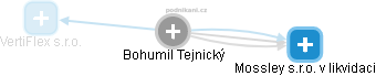  Bohumil T. - Vizualizace  propojení osoby a firem v obchodním rejstříku