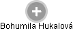  Bohumila H. - Vizualizace  propojení osoby a firem v obchodním rejstříku