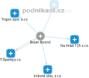 Bojan Bosnić - Vizualizace  propojení osoby a firem v obchodním rejstříku