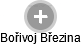 Bořivoj Březina - Vizualizace  propojení osoby a firem v obchodním rejstříku