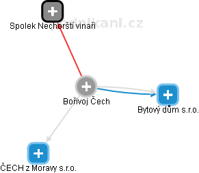 Bořivoj Čech - Vizualizace  propojení osoby a firem v obchodním rejstříku