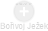  Bořivoj J. - Vizualizace  propojení osoby a firem v obchodním rejstříku