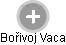  Bořivoj V. - Vizualizace  propojení osoby a firem v obchodním rejstříku