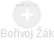  Bořivoj Ž. - Vizualizace  propojení osoby a firem v obchodním rejstříku