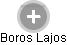 Boros Lajos - Vizualizace  propojení osoby a firem v obchodním rejstříku