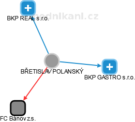 BŘETISLAV POLANSKÝ - Vizualizace  propojení osoby a firem v obchodním rejstříku