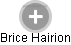 Brice Hairion - Vizualizace  propojení osoby a firem v obchodním rejstříku