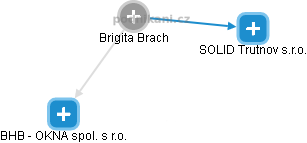 Brigita Brach - Vizualizace  propojení osoby a firem v obchodním rejstříku