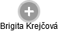 Brigita Krejčová - Vizualizace  propojení osoby a firem v obchodním rejstříku