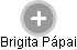 Brigita Pápai - Vizualizace  propojení osoby a firem v obchodním rejstříku