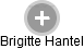 Brigitte Hantel - Vizualizace  propojení osoby a firem v obchodním rejstříku