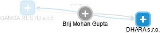 Brij Mohan Gupta - Vizualizace  propojení osoby a firem v obchodním rejstříku