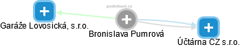  Bronislava P. - Vizualizace  propojení osoby a firem v obchodním rejstříku