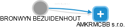  Bezuidenhout B. - Vizualizace  propojení osoby a firem v obchodním rejstříku