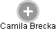 Camilla Brecka - Vizualizace  propojení osoby a firem v obchodním rejstříku