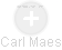 Carl Maes - Vizualizace  propojení osoby a firem v obchodním rejstříku