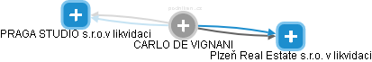 CARLO DE VIGNANI - Vizualizace  propojení osoby a firem v obchodním rejstříku