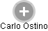 Carlo Ostino - Vizualizace  propojení osoby a firem v obchodním rejstříku