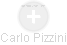 Carlo Pizzini - Vizualizace  propojení osoby a firem v obchodním rejstříku