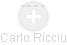 Carlo Ricciu - Vizualizace  propojení osoby a firem v obchodním rejstříku