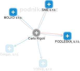 Carlo Rigoli - Vizualizace  propojení osoby a firem v obchodním rejstříku