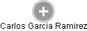 Carlos Garcia Ramirez - Vizualizace  propojení osoby a firem v obchodním rejstříku