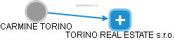 CARMINE TORINO - Vizualizace  propojení osoby a firem v obchodním rejstříku