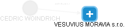  Woindrich C. - Vizualizace  propojení osoby a firem v obchodním rejstříku