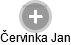  Červinka J. - Vizualizace  propojení osoby a firem v obchodním rejstříku