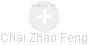 Chai Zhao Feng - Vizualizace  propojení osoby a firem v obchodním rejstříku