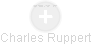 Charles Ruppert - Vizualizace  propojení osoby a firem v obchodním rejstříku