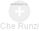 Che Runzi - Vizualizace  propojení osoby a firem v obchodním rejstříku