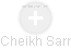 Cheikh Sarr - Vizualizace  propojení osoby a firem v obchodním rejstříku