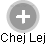 Chej Lej - Vizualizace  propojení osoby a firem v obchodním rejstříku