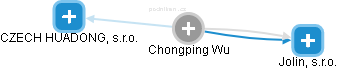 Chongping Wu - Vizualizace  propojení osoby a firem v obchodním rejstříku