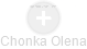 Chonka Olena - Vizualizace  propojení osoby a firem v obchodním rejstříku