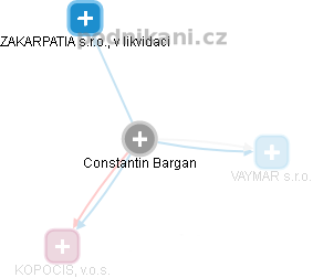 Constantin Bargan - Vizualizace  propojení osoby a firem v obchodním rejstříku