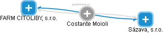Costante Moioli - Vizualizace  propojení osoby a firem v obchodním rejstříku