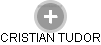 CRISTIAN TUDOR - Vizualizace  propojení osoby a firem v obchodním rejstříku