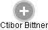 Ctibor Bittner - Vizualizace  propojení osoby a firem v obchodním rejstříku