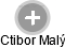 Ctibor Malý - Vizualizace  propojení osoby a firem v obchodním rejstříku