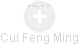 Cui Feng Ming - Vizualizace  propojení osoby a firem v obchodním rejstříku