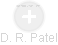 R. Patel - Vizualizace  propojení osoby a firem v obchodním rejstříku