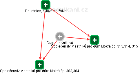 Dagmar Krčková - Vizualizace  propojení osoby a firem v obchodním rejstříku