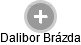 Dalibor Brázda - Vizualizace  propojení osoby a firem v obchodním rejstříku